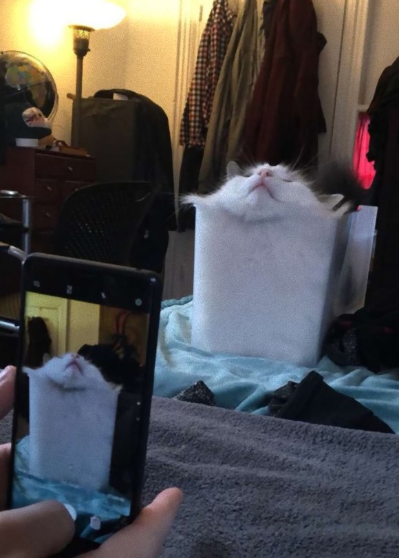 2_e0