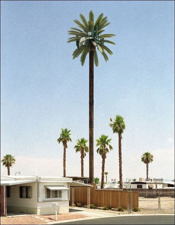camouflaged_cell_phone_tower_10_e
