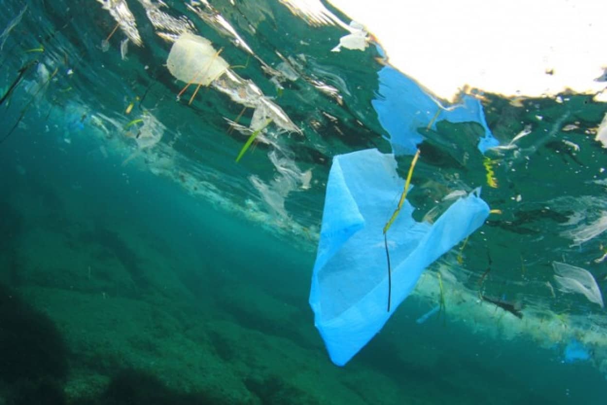 お湯で簡単に分解できる生分解性プラスチックが開発される