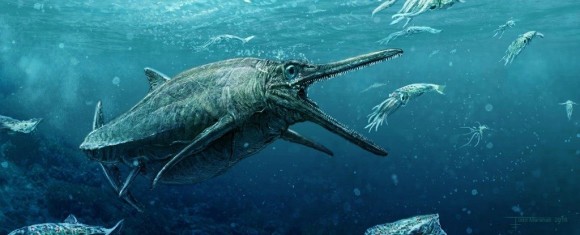 インドで1億5000万年前の海の怪物 イクチオサウルス を発見 カラパイア