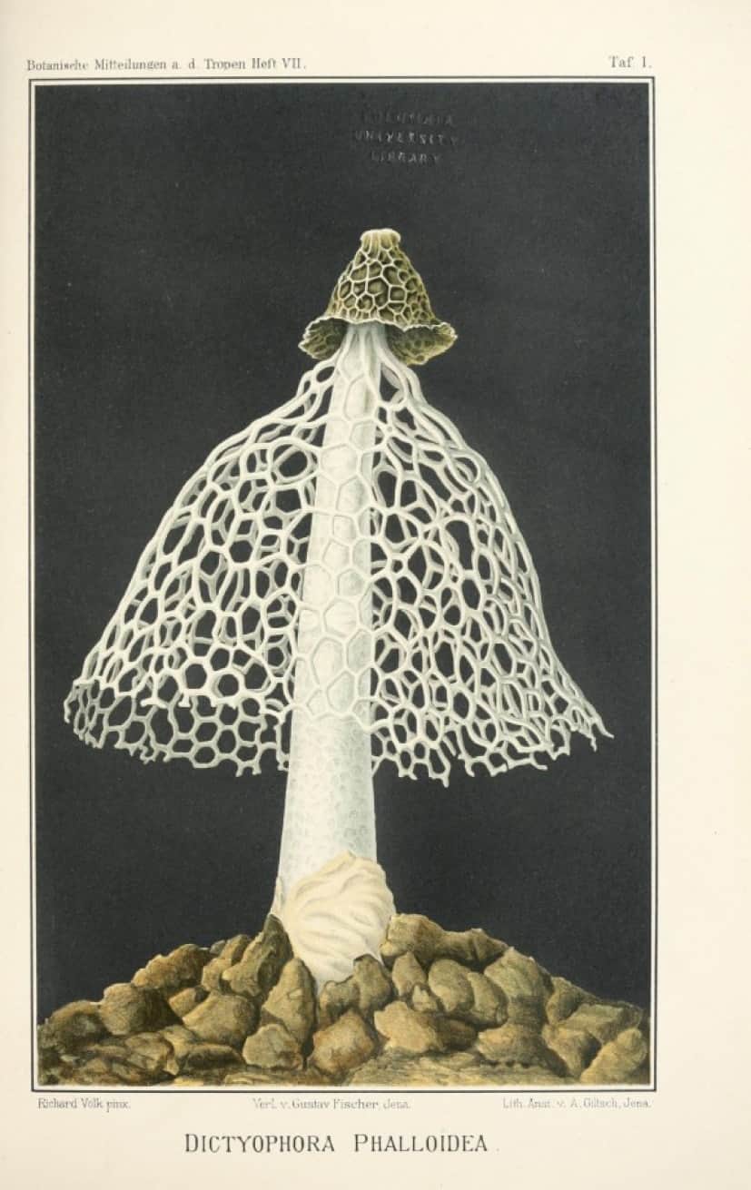 biodiversity-2-scaled_e