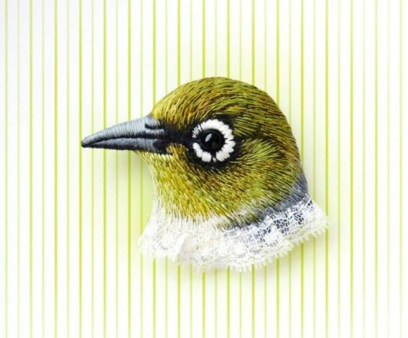 bird-4_e