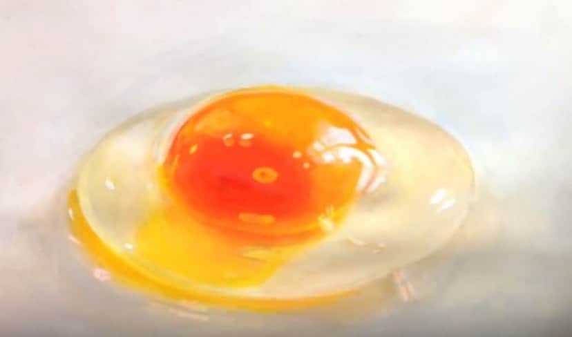 tamago11_e