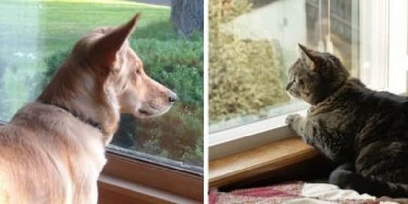 both