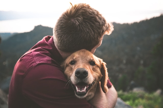 男性がペットを飼うと、動物に対する共感力が高まることが判明