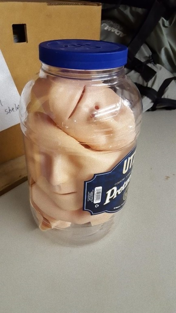 19_e