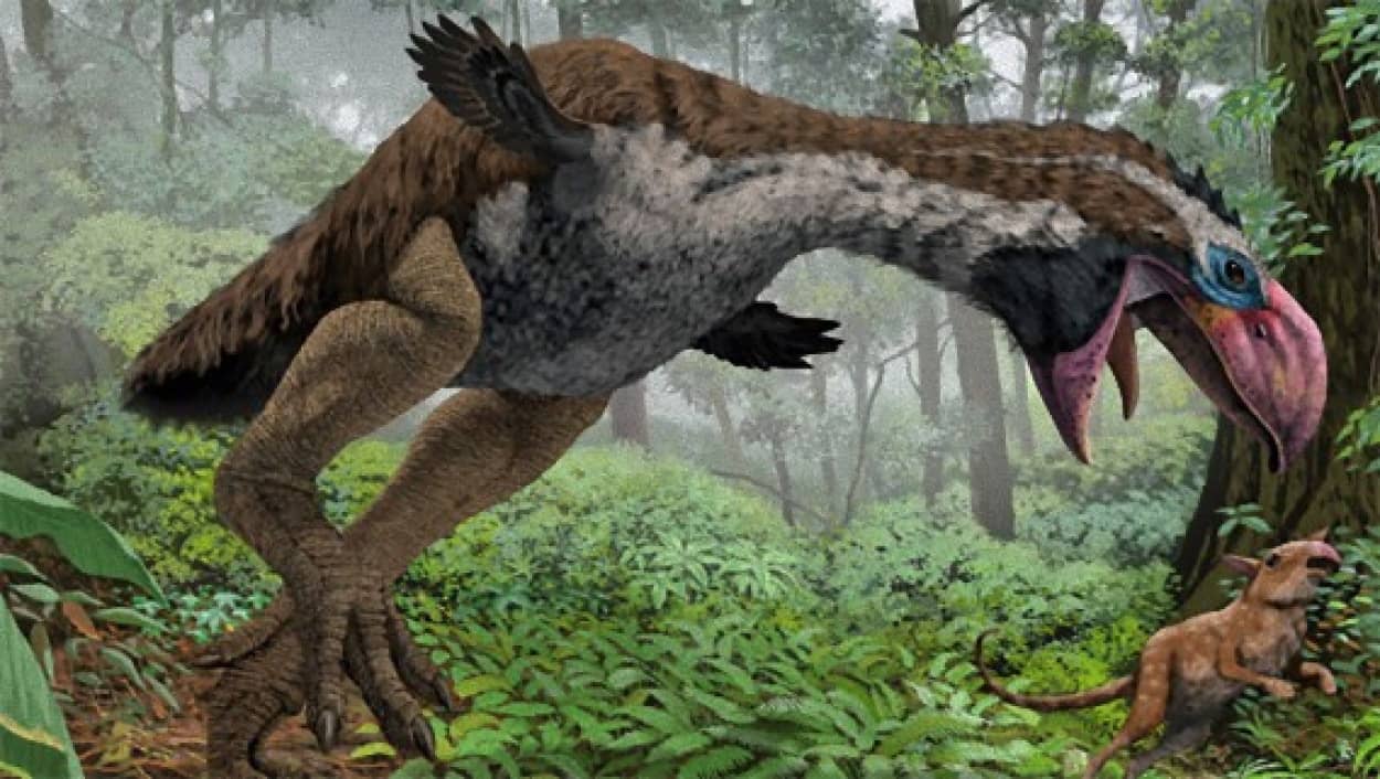 史上最強と恐れられた恐鳥 ガストルニス は獰猛な肉食ではなく草食動物の可能性 ドイツ研究 カラパイア 史上最強と恐れられた恐鳥 ガストルニス は獰猛な肉食ではなく草食動物の可能性 ドイツ研究 カラパイア