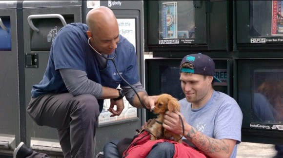 ホームレスの犬を無償で診察する獣医師（アメリカ）