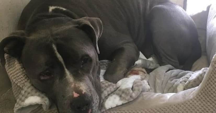 new bed