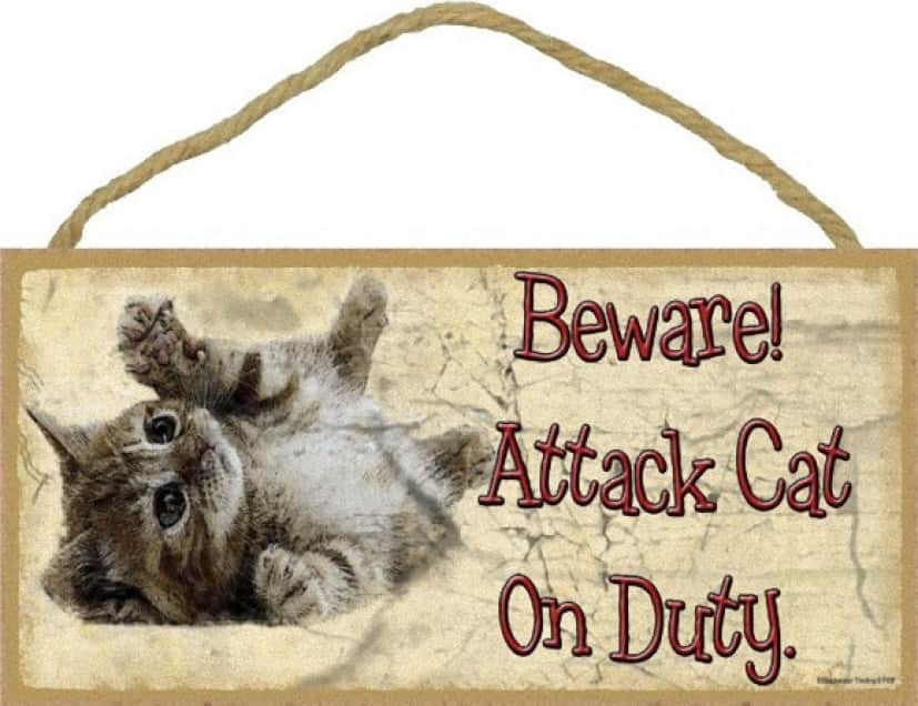 気を付けるべきは猫だった。「猛犬」ではなく「猛猫」注意な12の警告文 : カラパイア