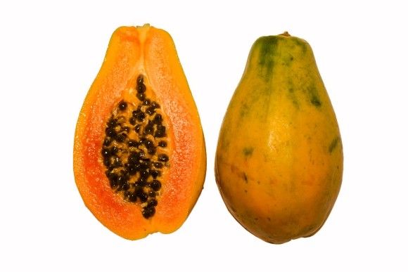 10Papaya_cross_section_BNC_e