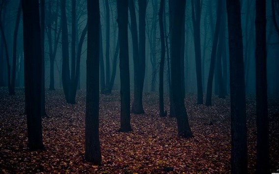fog_02