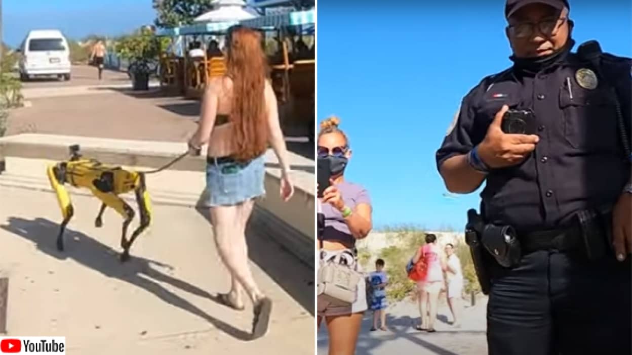 犬型ロボット「スポット」をつれて散歩していた女性が警官に職質される