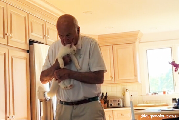 一目会ったその日から、92歳のおじいさんと子猫の間に芽生えた甘い絆