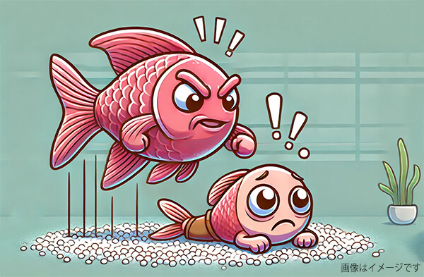 魚のも怠けるとお仕置きされる。体罰で群れの社会秩序を維持する魚たち