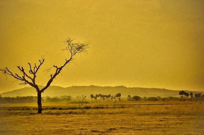 dry-856544_640_e