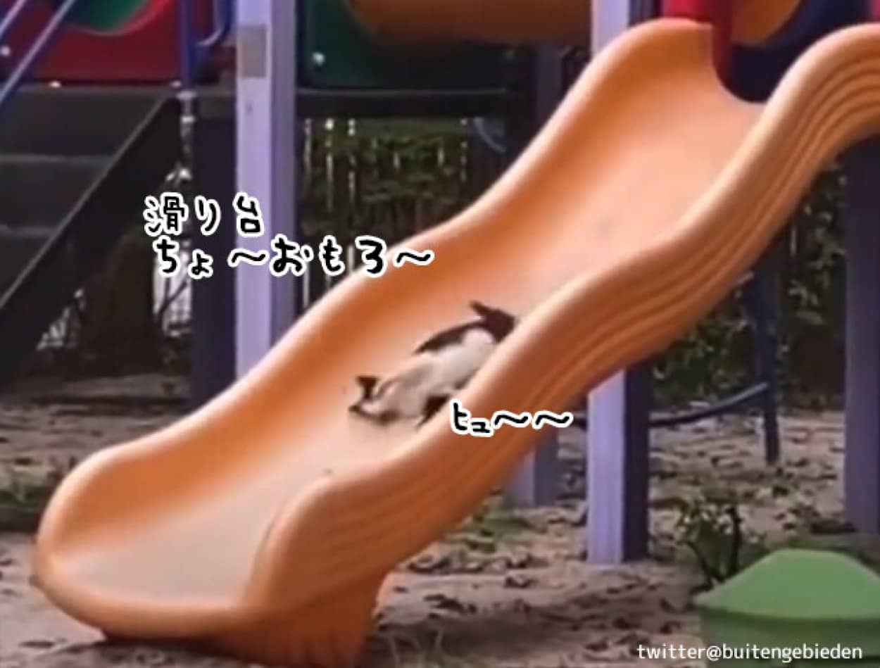 ³ê¤êÂæÍ·¤Ó¤ò³Ú¤·¤àÇ