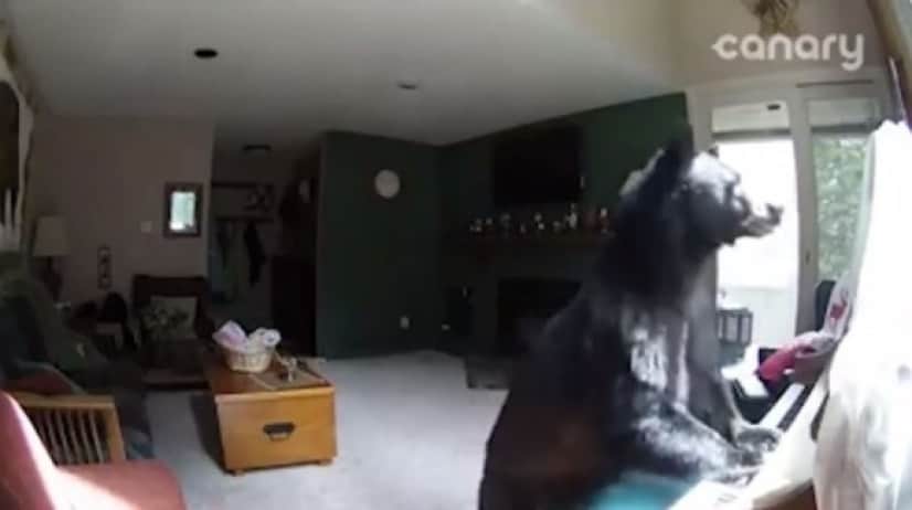 kuma2_e_e