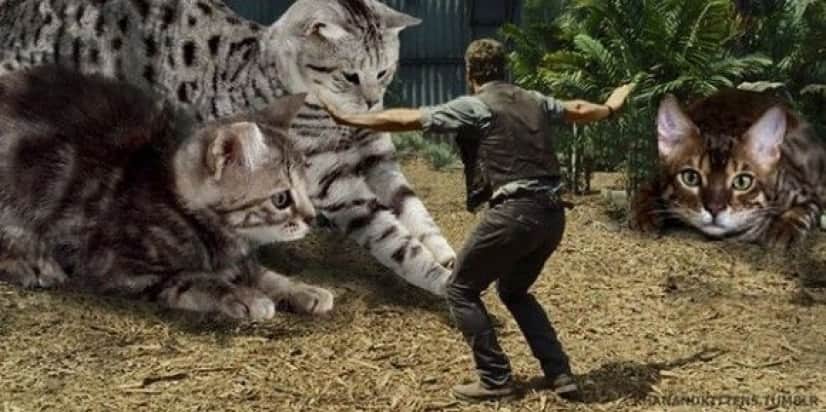jurassic_park_dinosaurs_12_e
