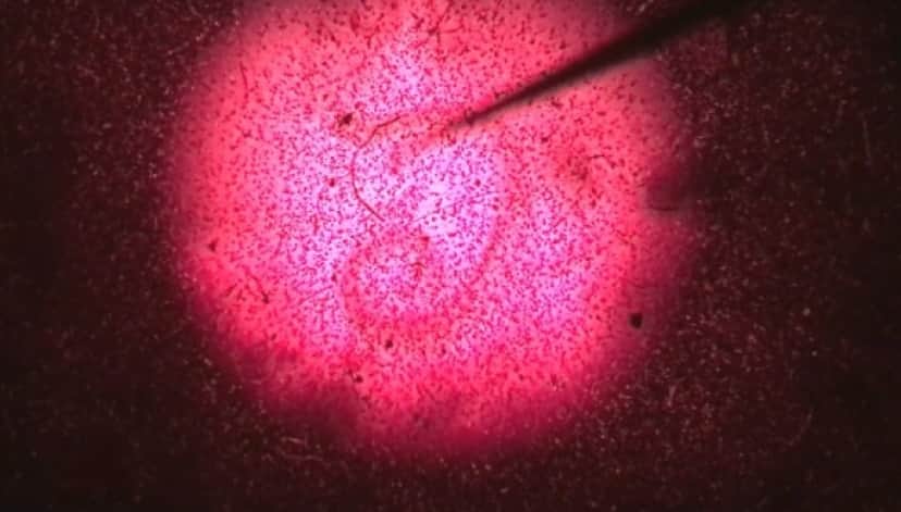 8_e4