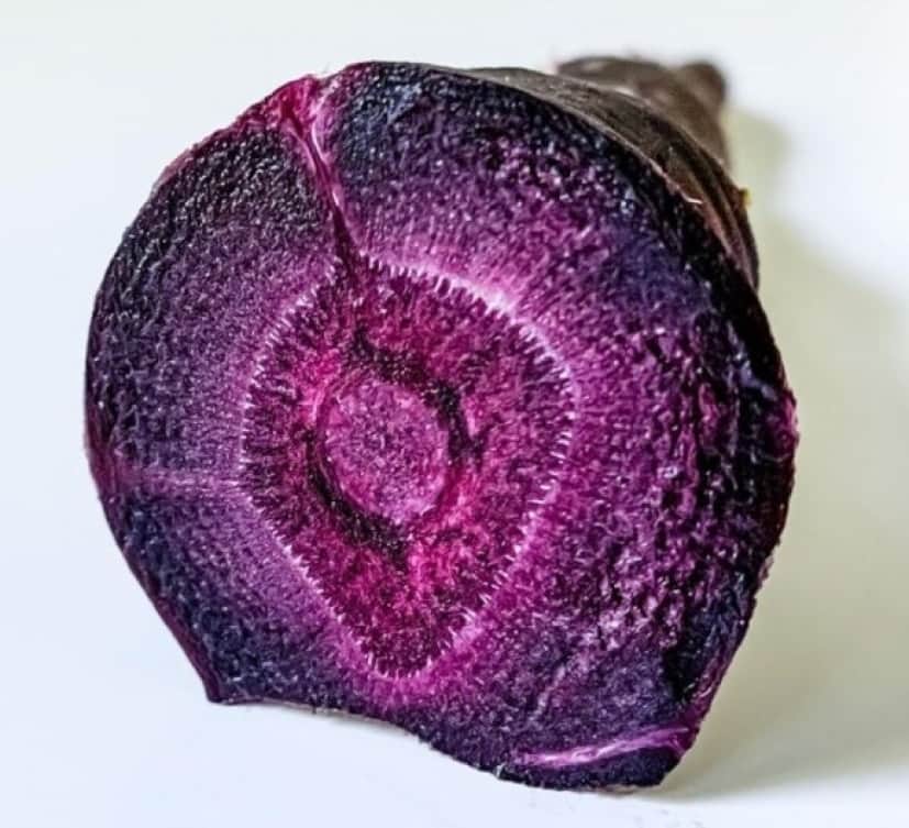 1_e