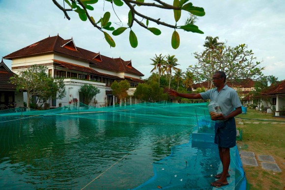コロナ禍の影響で観光客が来なくなったホテル、プールを水槽に変え魚の養殖で生き残り戦略を図る（インド）
