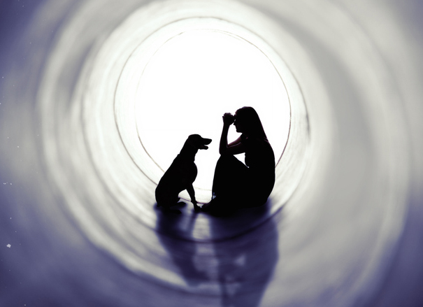 亡くなった愛犬の幽霊を見る飼い主は多い。その超常現象に悲しみを癒す効果があるかもしれない
