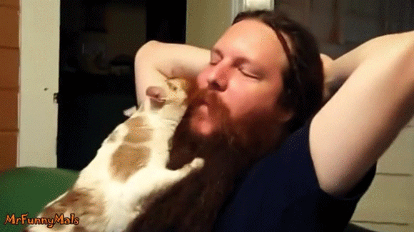 ヒゲを揉めば下僕化完了 そんな猫たちの術中にはまったヒゲ男性たちの映像総集編 カラパイア ヒゲを揉めば下僕化完了 そんな猫たちの術中にはまったヒゲ男性たちの映像総集編 カラパイア