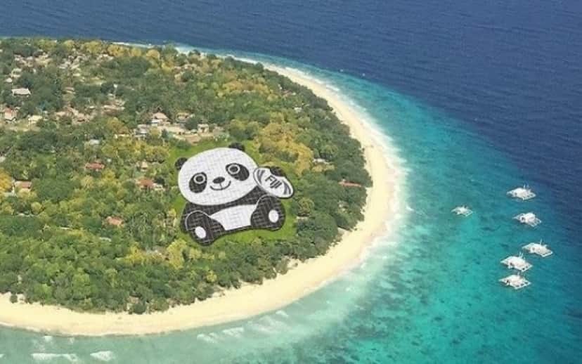 panda4_e