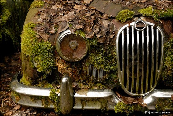 cars_12