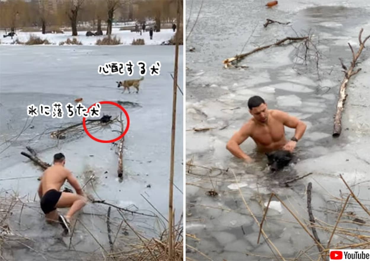 川に落ちた犬を救助する男性