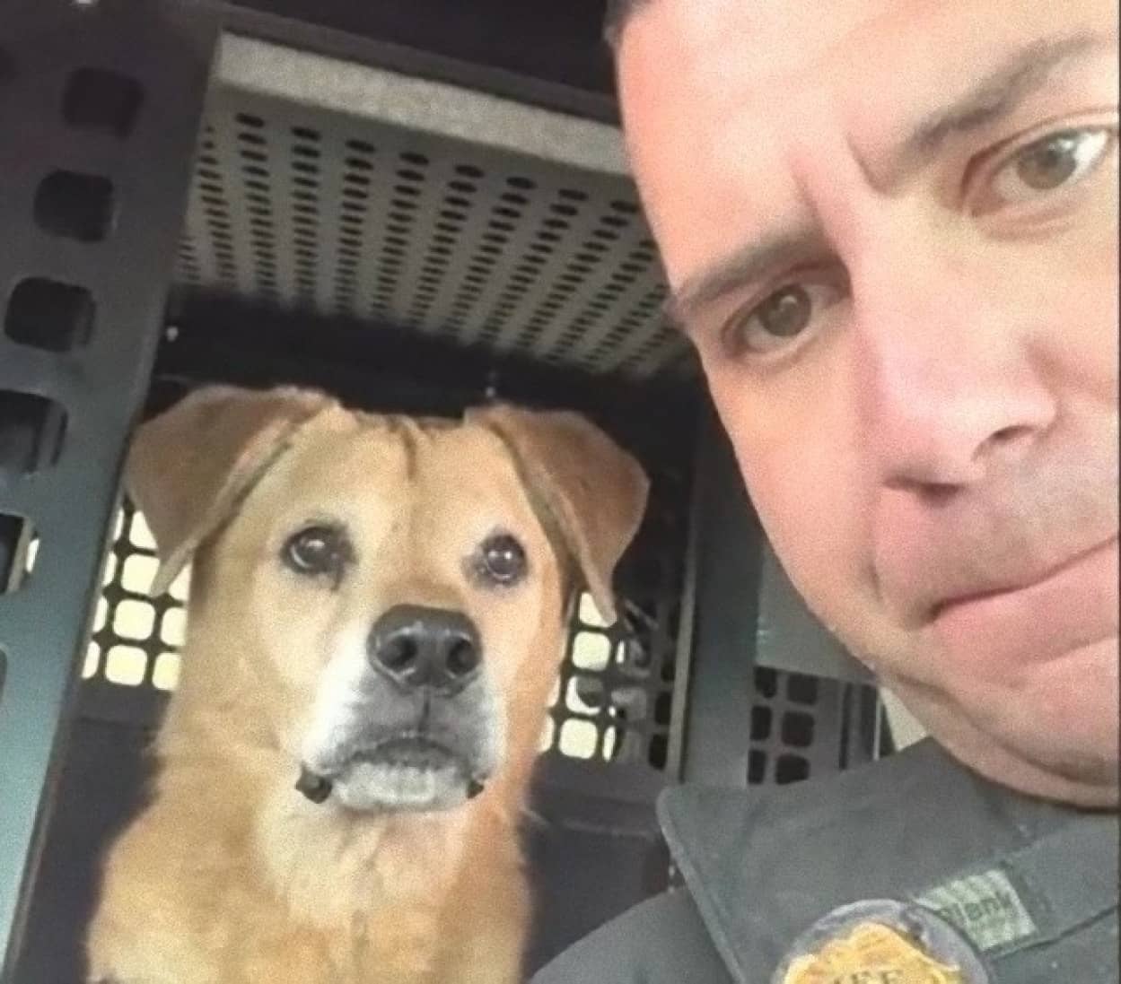 16歳の警察犬が引退の時、同僚から最高のはなむけの言葉