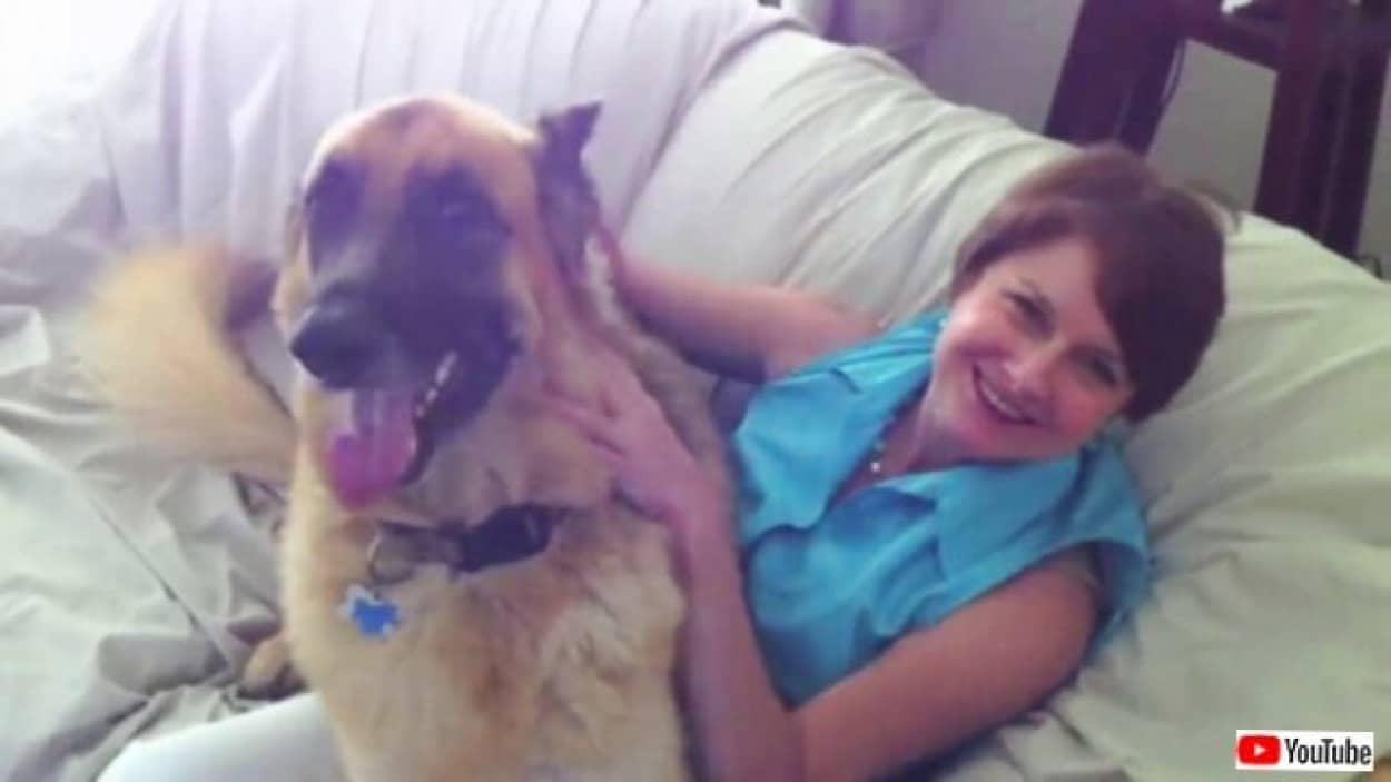 amaxresdefault_batch