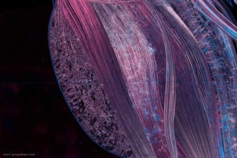 07_e9