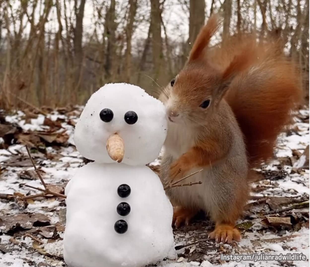 リスが雪だるまで遊ぶファンタジー世界