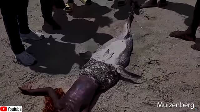 アフリカの海岸に打ち上げられたという人魚の映像が出回る 果たして本物なのか カラパイア