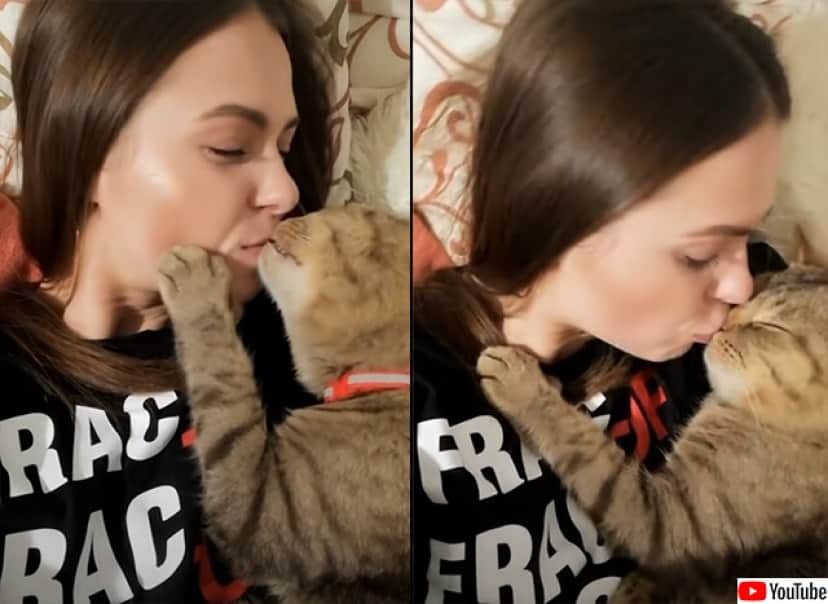 100万回のキスをしたい猫 飼い主におねだり おかわり カラパイア