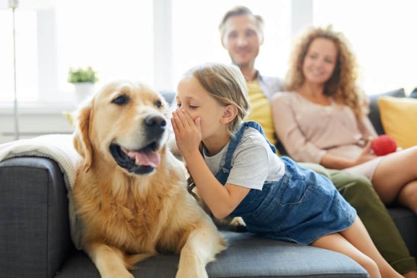 iStock-1030202744