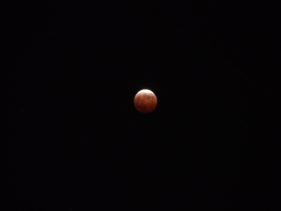 素晴らしい 日本国内から撮影した10月8日の美しいブラッドムーン 皆既月食 の写真 カラパイア