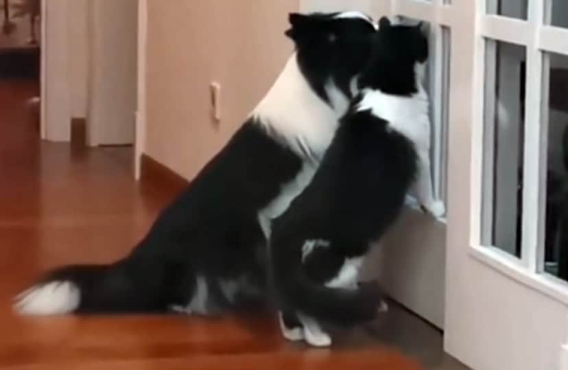 1_e5
