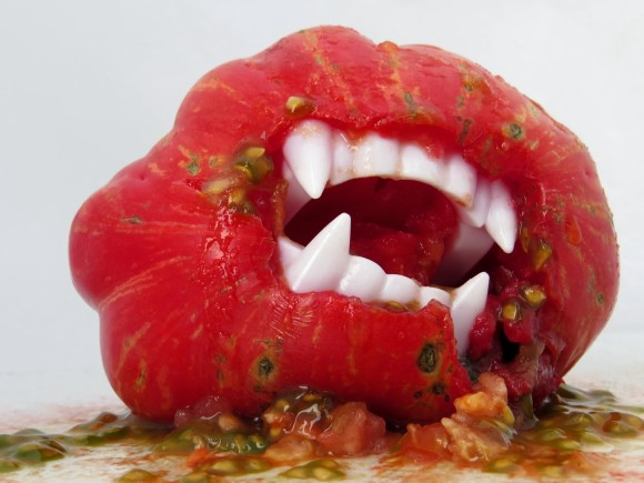 トマト怖い 虫に食われた葉から毒性物質を放出し 周辺の虫を根こそぎ殺戮していることが判明 京都大学研究 カラパイア