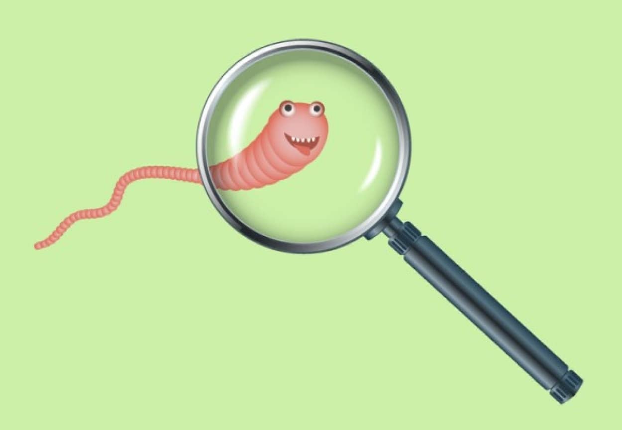 iStock-1155631494_e