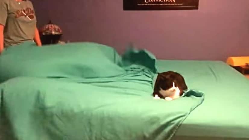 bedmaking4