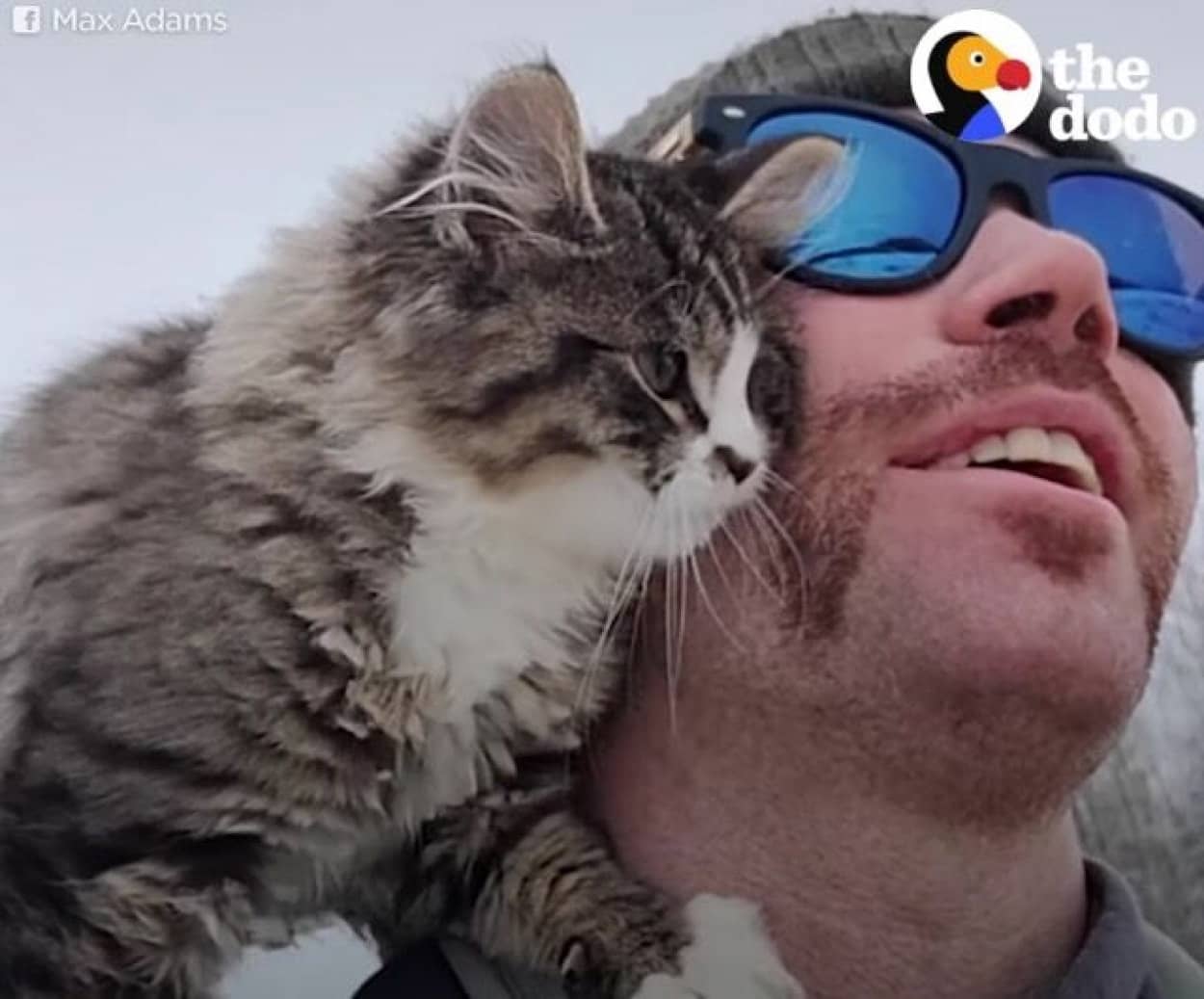 極寒の雪山に子猫が 助けた男性が子猫に名前をつけるまで カラパイア 極寒の雪山に子猫が 助けた男性が子猫に名前をつけるまで カラパイア