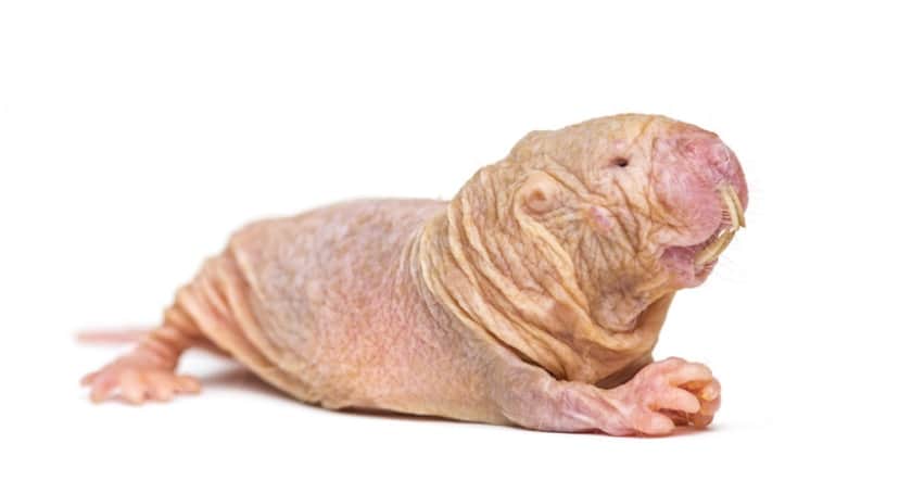 iStock-1217836788
