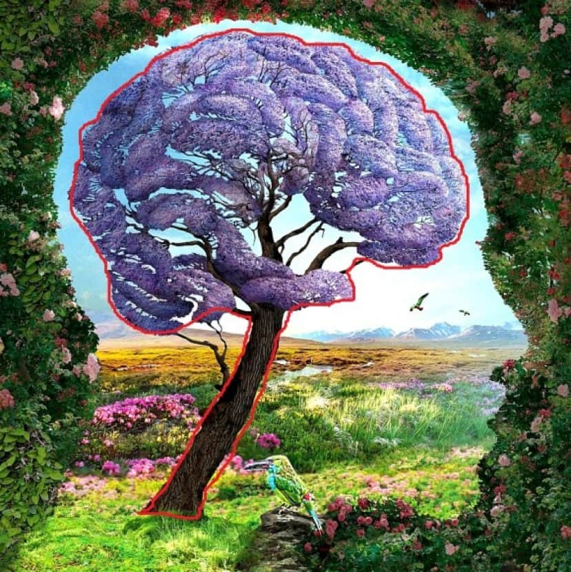 3_e2