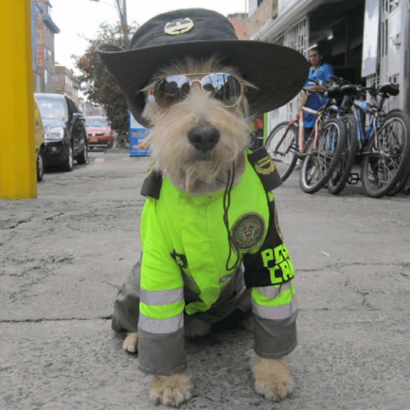 police2_e