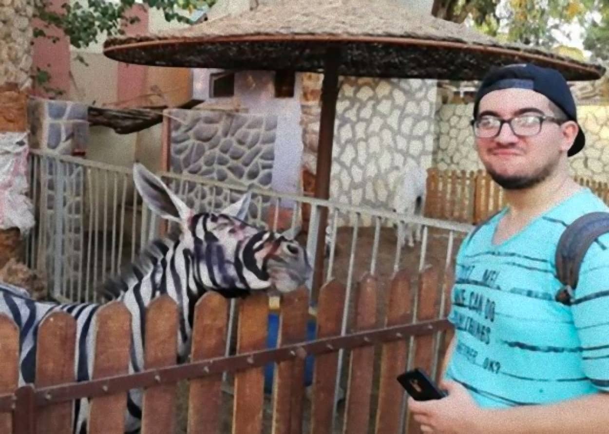 zebra1