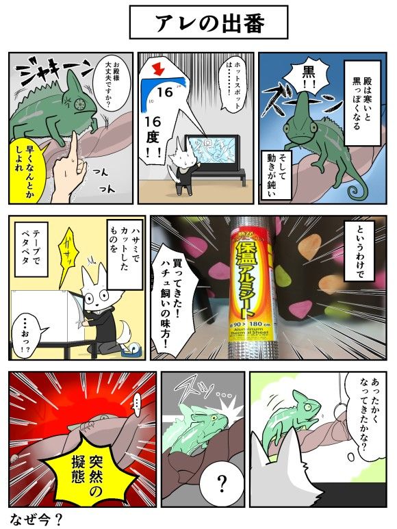 3話載せる用
