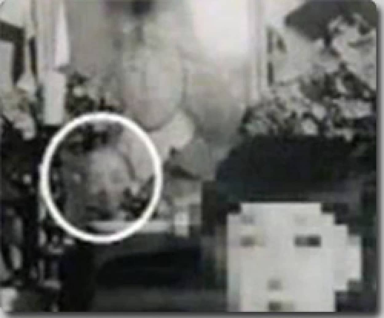 プチ心霊写真特集 カラパイア